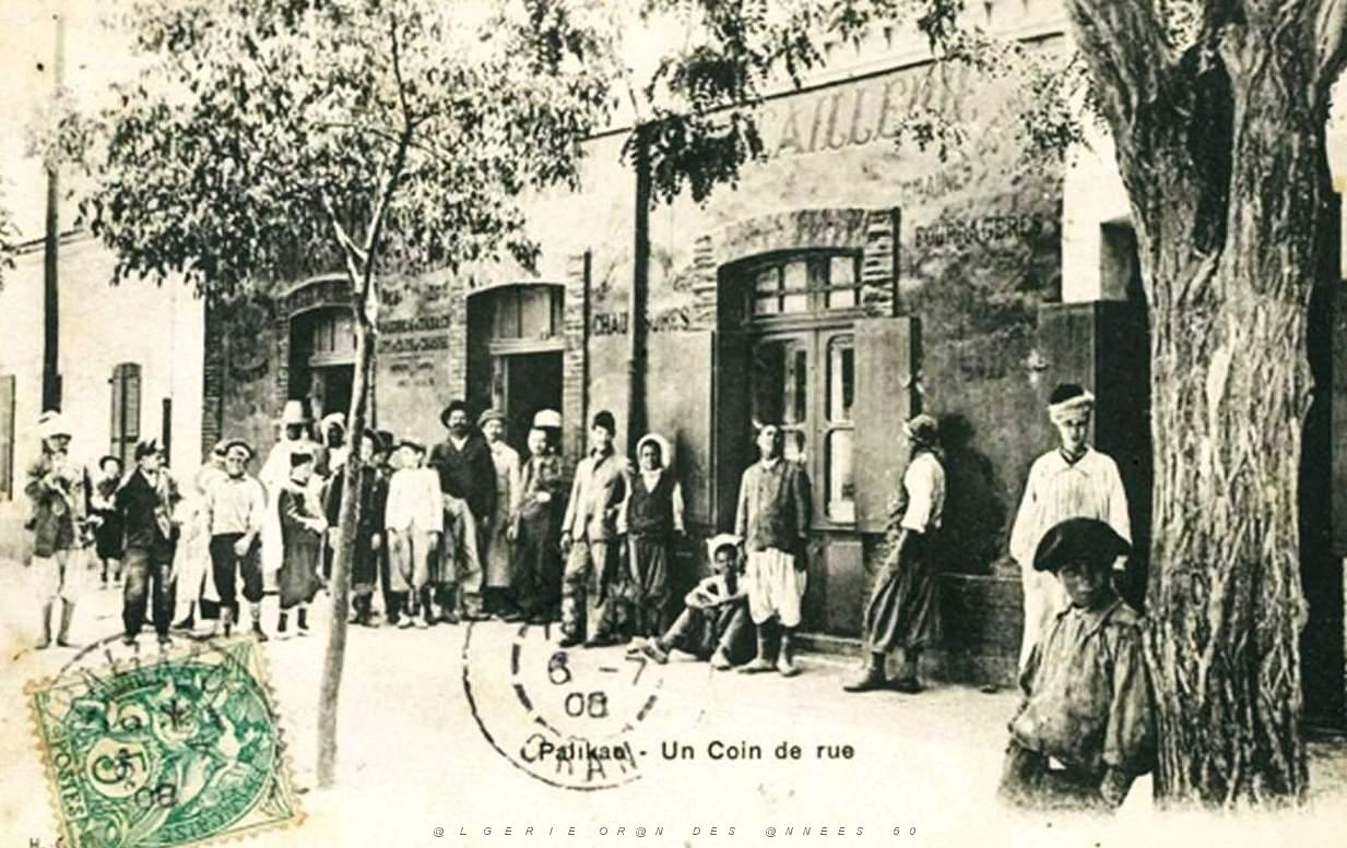 Oran- SDV- 6601-Palikao .jpg